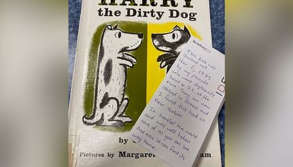 A Little Boy’s Library Book Was Due in 1989. Thirty-Six Years Later, He Realized His Parents Had Never Returned It