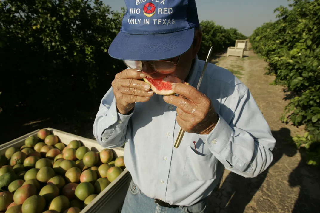 Grapefruit Farmer