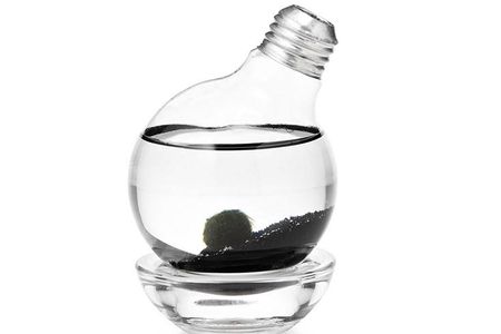 Checking out our gift guides is a bright idea.