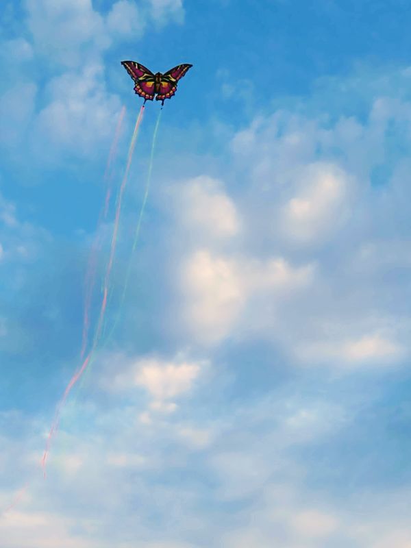 Butterfly kite soaring high thumbnail