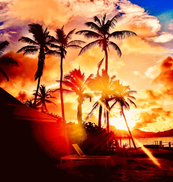 Palms, Beach and the Atlantic Ocean Brilliant Sunset thumbnail