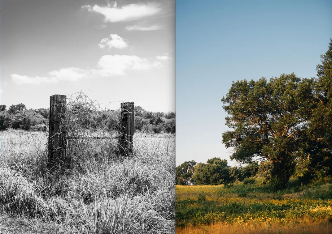 E_landscapes in Seminole County diptych