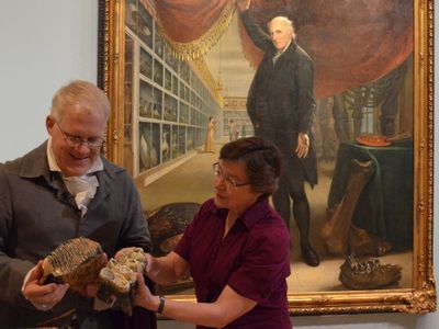 SAAM's Senior Curator Eleanor Jones Harvey and Dean Howarth take a closer look at mastodon bones in the exhibition Alexander von Humboldt and the United States: Art, Nature, and Culture. Charles Willson Peale's painting in the background shows similar bones. Photo by Carol Wilson