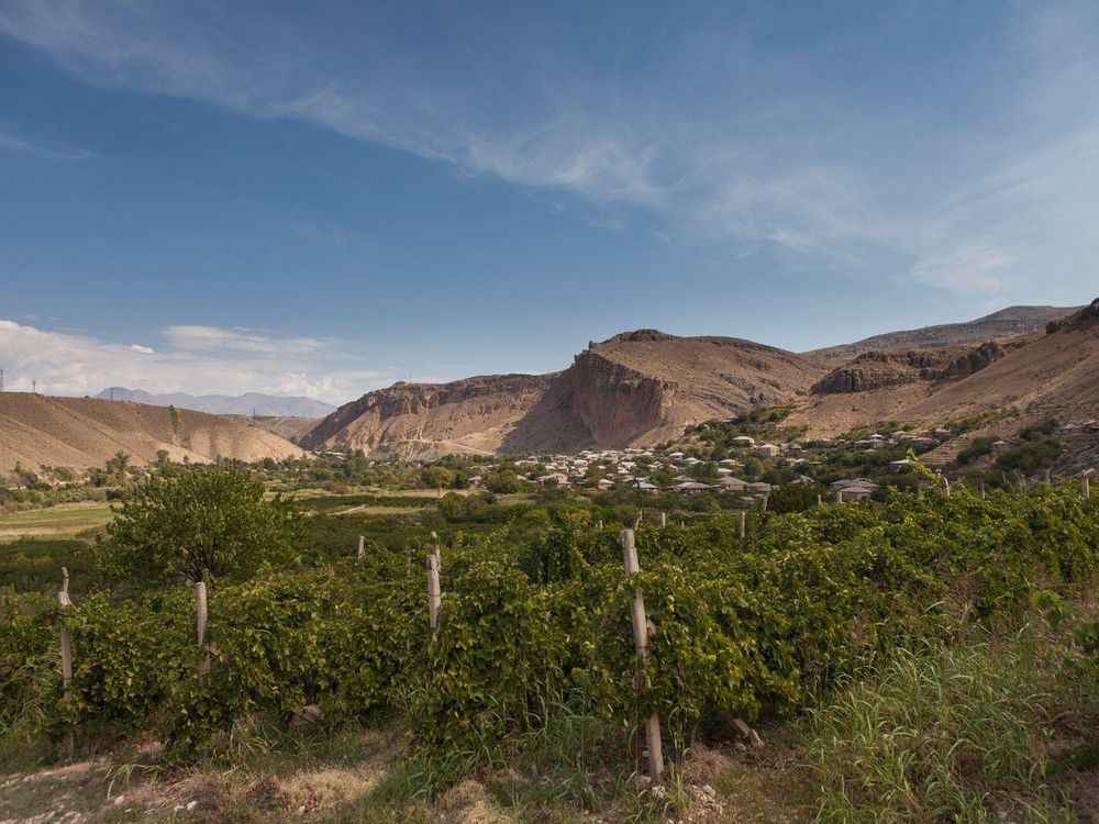 Armenian Wine Country