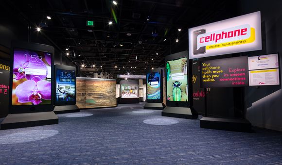 NMNH-2023-01828 (1).jpg