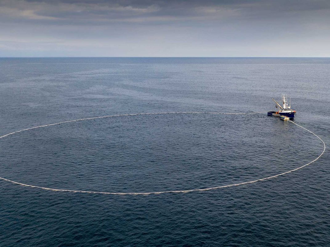 Purse Seine Fishing