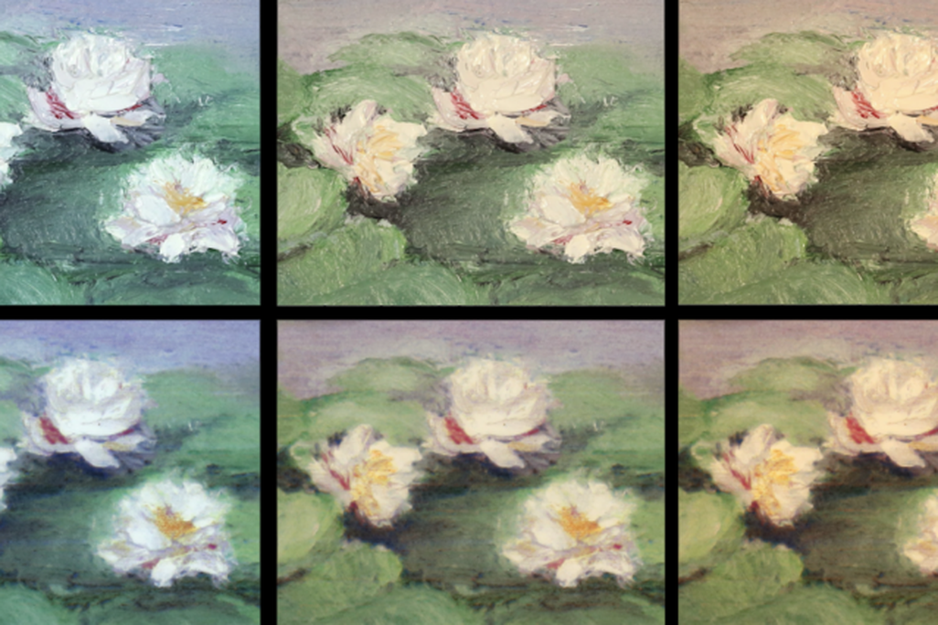 RePaint-Flowers-MIT-00_0.png