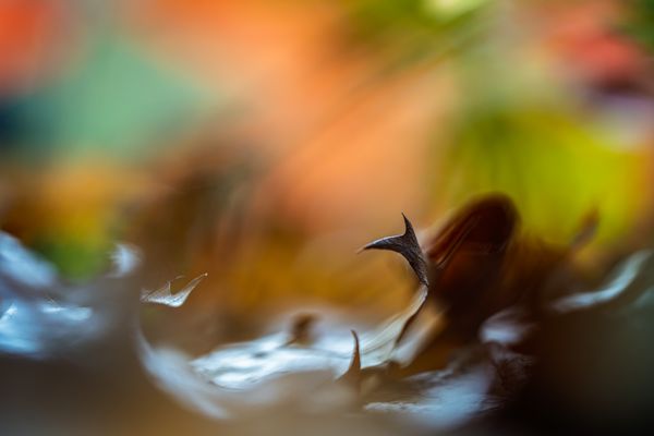 Mette Klint Artistic 3-1 thumbnail