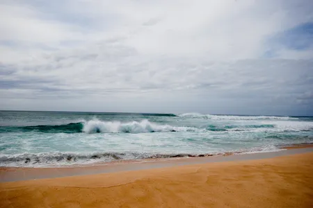 Waimea Bay takes its name from the Hawaiian word for "reddish-brown waters."