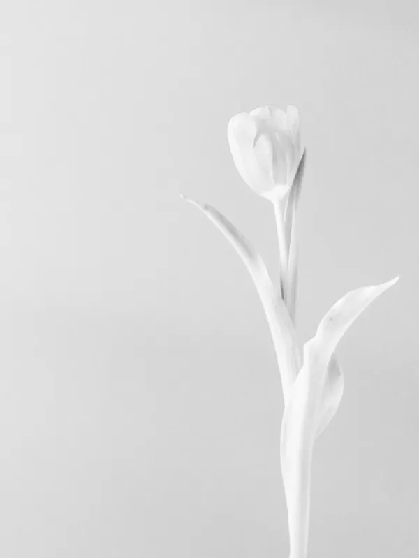 Subtle Presence thumbnail