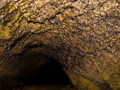 The hydrophobic bacteria that coat the ceilings of some dark lava caves produce a gorgeous golden sparkle.