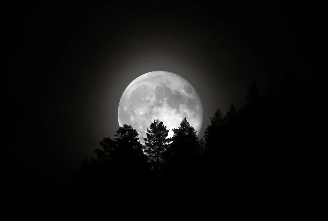 a big full moon rises, the bottom of its sphere obscured by the silhouettes of trees