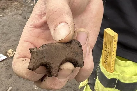 Reserachers believe Viking children once played with this animal figurine.