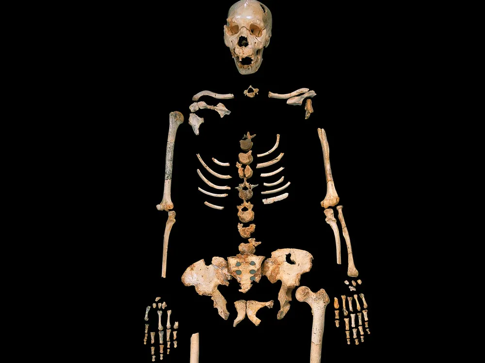 Homo_heidelbergensis.jpg