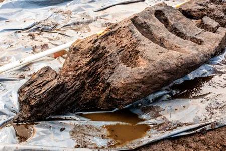 The Iron Age sculpture is one of only a dozen of its kind found in Ireland to date.