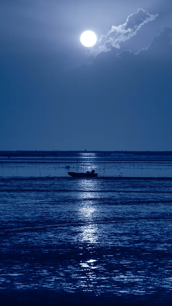 The Ship and the Sea thumbnail