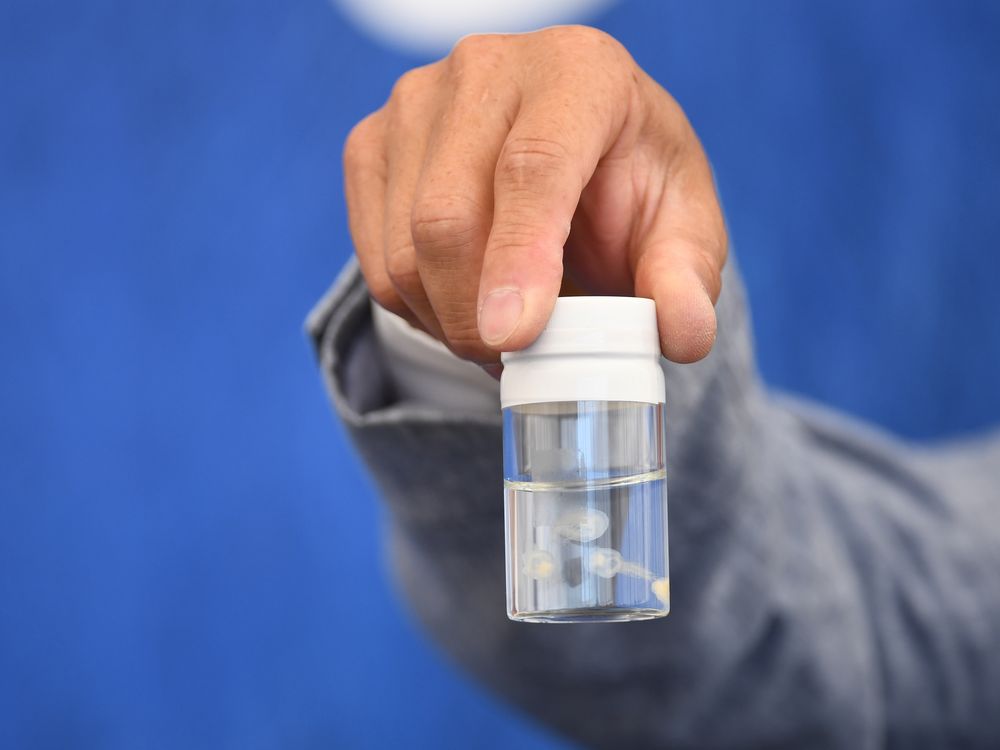 A hand holding a small container with jellyfish