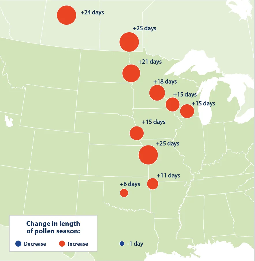 Allergy Season Is Getting Longer and Nastier Each Year