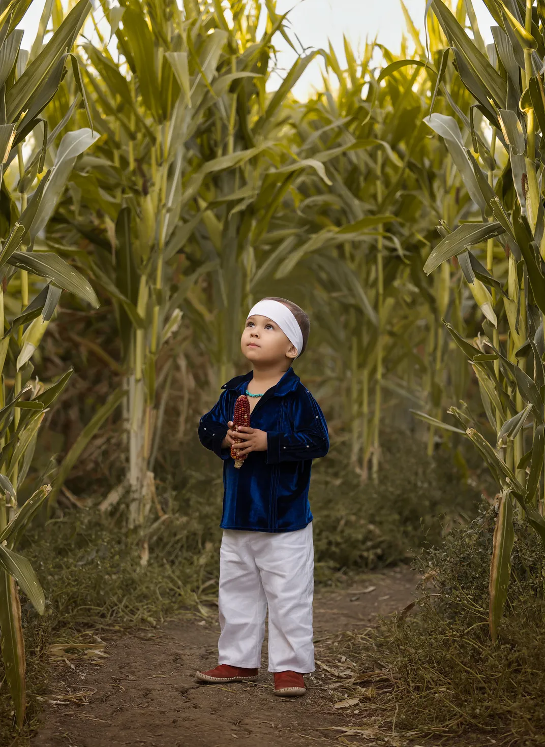A young Navajo boy, wearing traditional beads and moccasins, gazes up at towering stalks of corn