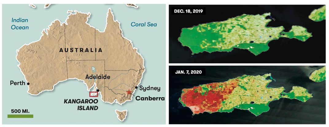 Left, Kangaroo Island sits a few miles off the coast of South Australia. Right, at the height of the fires, in January, most of the island’s western half was ablaze, as seen in these images based on data from a NASA satellite.