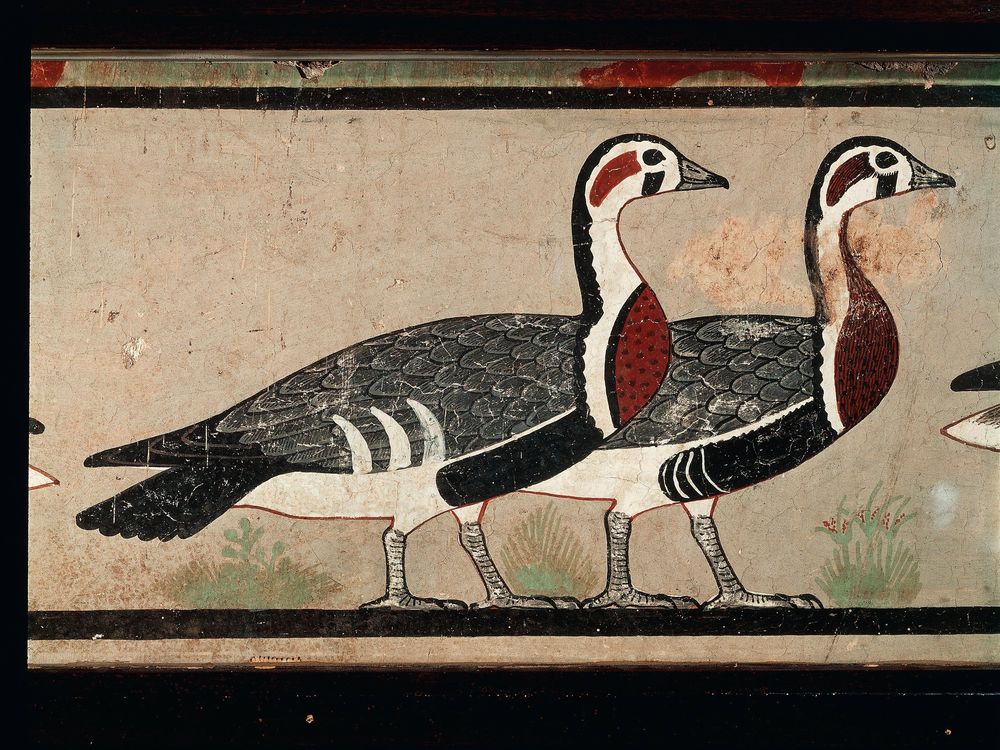 Tomb Painting Known as Egypt's 'Mona Lisa' May Depict Extinct Goose Species