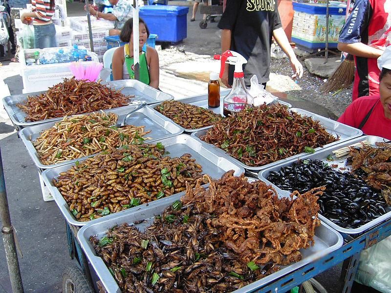 Your Opinion of Sushi Is a Good Predictor of How Willing You Are to Eat Insects