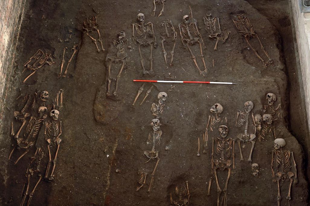Remains of individuals unearthed at the site of the former Hospital of St. John the Evangelist in Cambridge