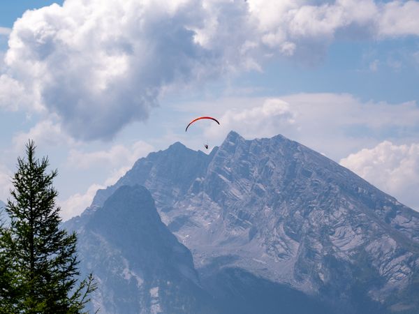 In the notch thumbnail