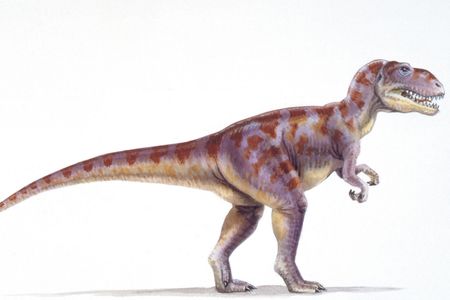 Paleontologists are still investigating what the carnivorous dinosaur Megalosaurus looked like.