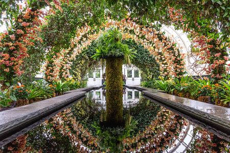 Arches made of yellow orchids as seen at the New York Botanical Garden.