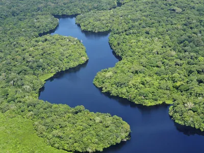 Aerial view of the Amazon Rainforest near Manaus, the capital of the Brazilian state of Amazonas.