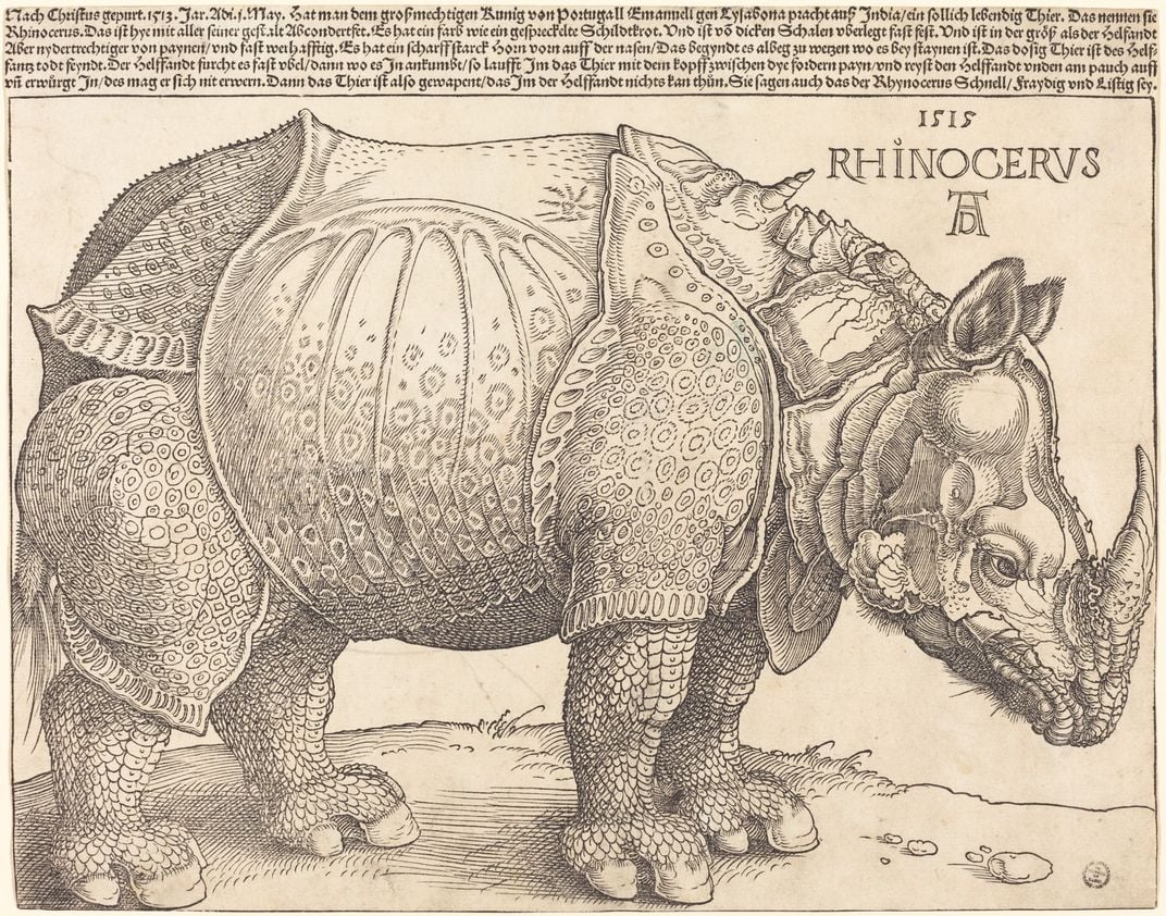 Une illustration de gravure sur bois d'un rhinocéros qui semble blindé.