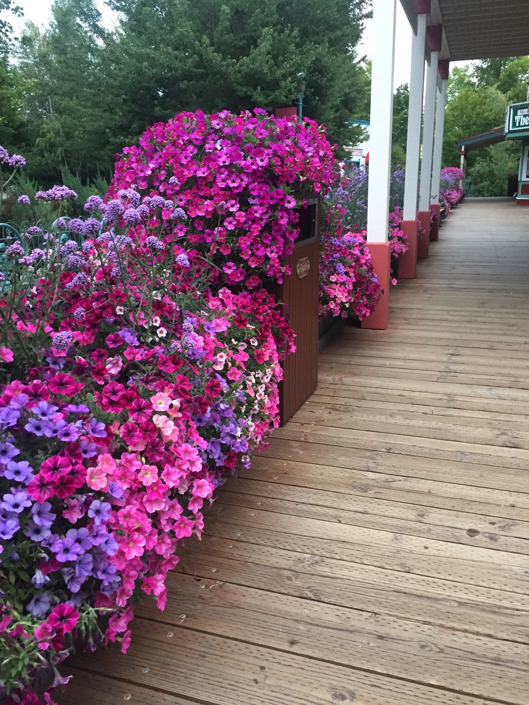 Flowers on the deck Smithsonian Photo Contest Smithsonian Magazine