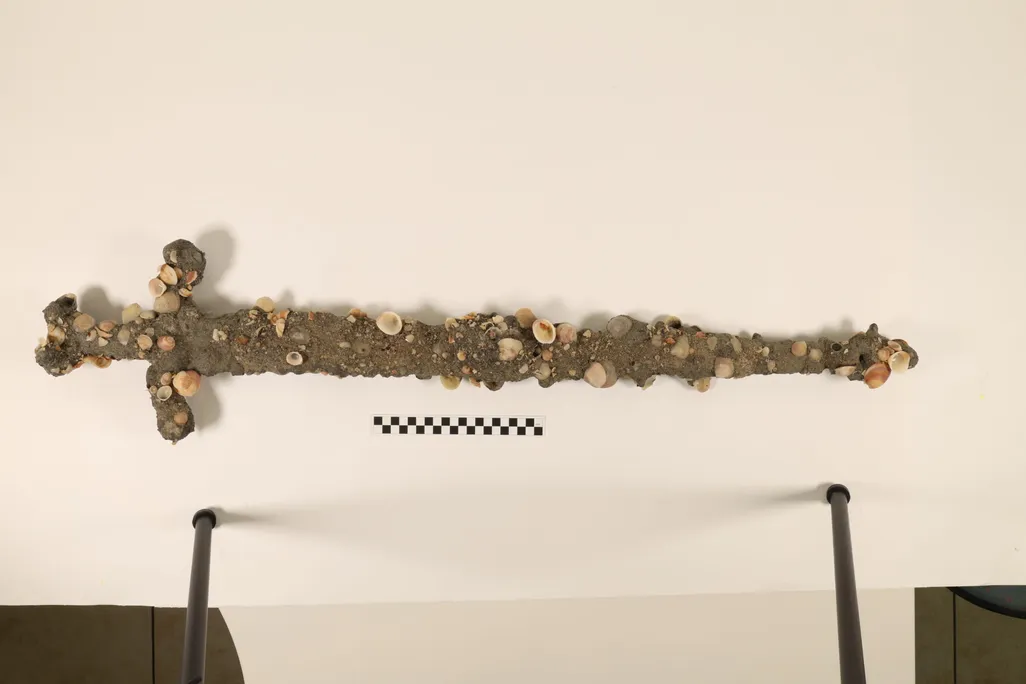 A sword covered in sediment and shells