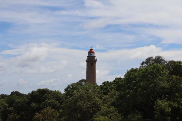 A lighthouse above a canopy thumbnail