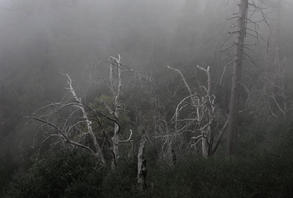 City of Ghosts on Palomar Mountain thumbnail