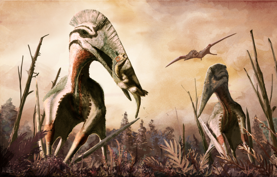 Pterodactyls And Other 'Flying Dinosaurs' Were Actually Di-not-saurs