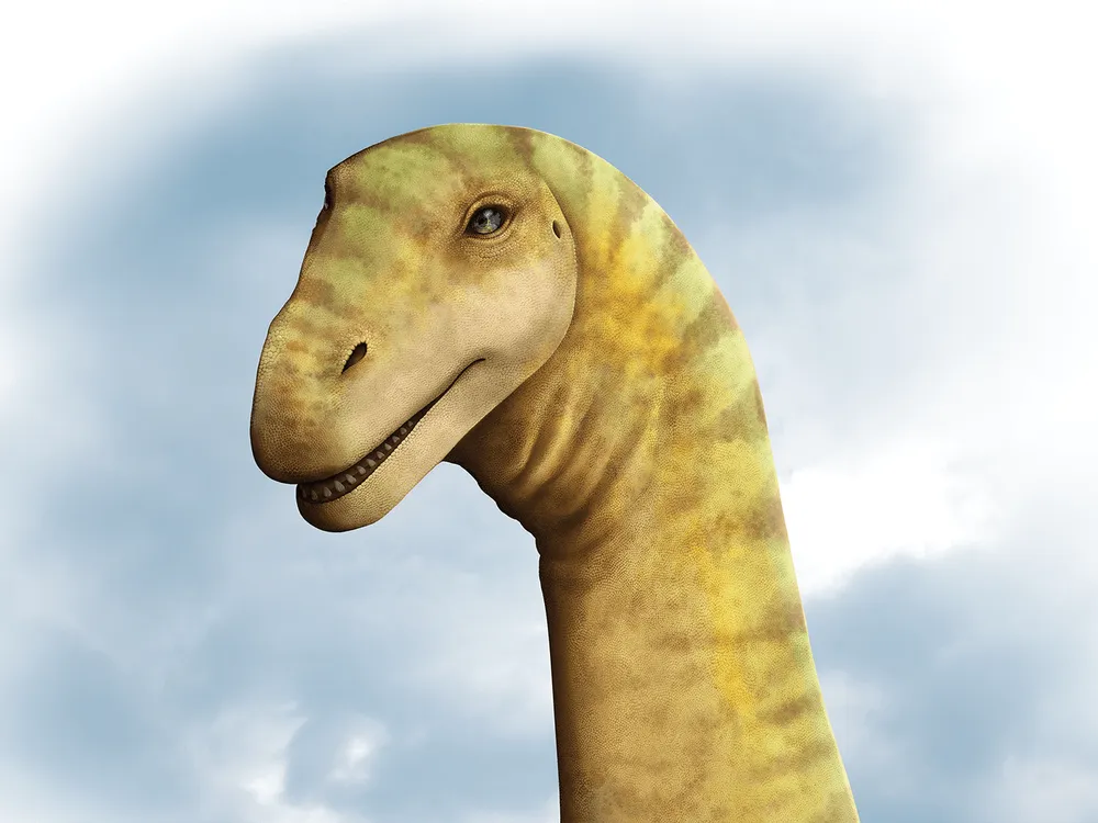 head of a long-necked dinosaur
