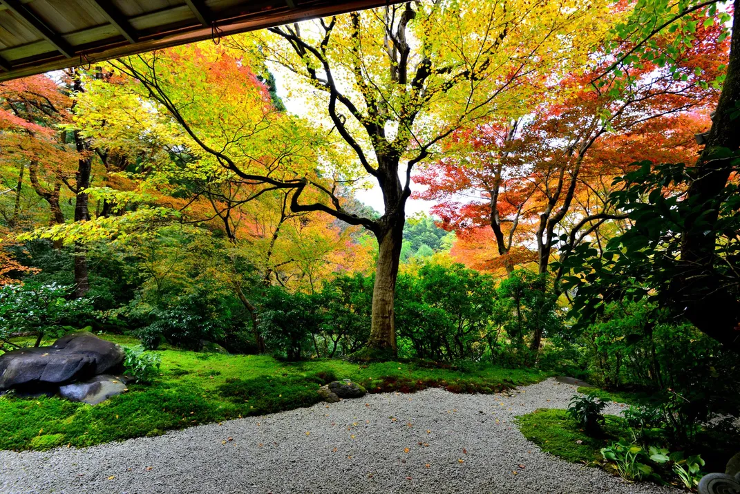 Ruriko-in Temple, Kyoto, Japan