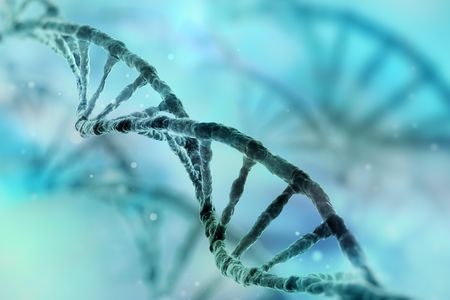 The story of how DNA's structure was discovered is a typical scientific story of generations of research building on one another.