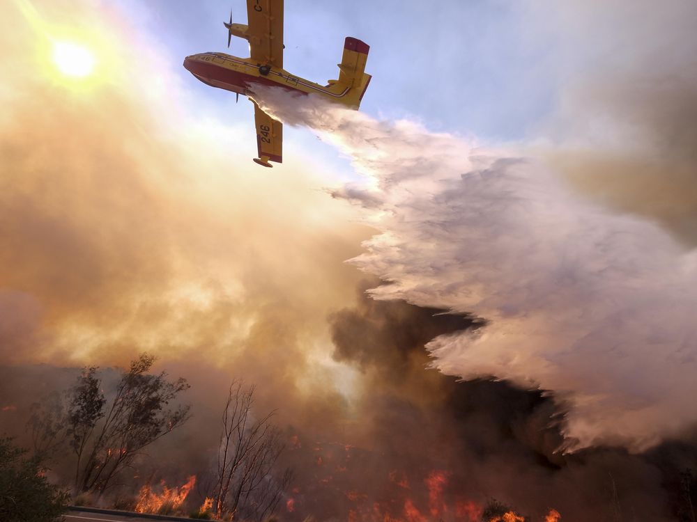 The Pilots Who Fight California’s Wildfires