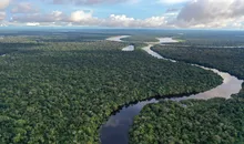 Cruising the Amazon Waterways photo