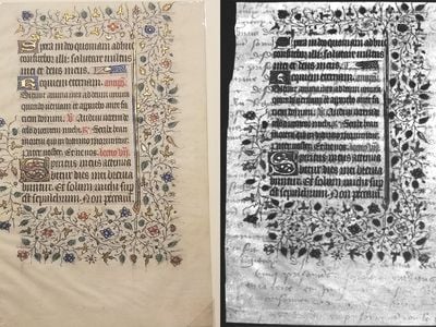 Student researchers analyzed this leaf from a Book of Hours (left), a devotional Christian manuscript that dates to the 15th century. The students found traces of French cursive writing beneath the visible text (right). The cursive was likely scraped away to make the parchment reusable for the illuminated Gothic script.
