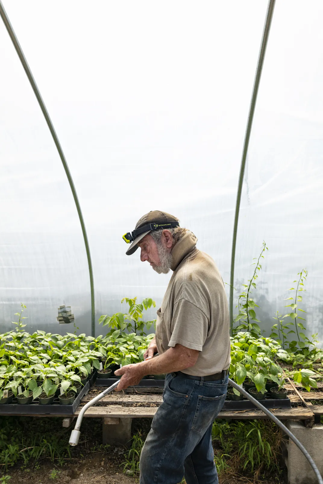 4 - Paul in the greenhouse