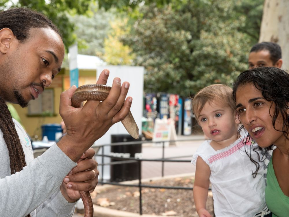 At Smithsonian Associates' annual Breakfast at the Zoo on Sept. 14, animal keepers will give informal talks offering participants a chance to see selected animals up close. (Norwood Photography)