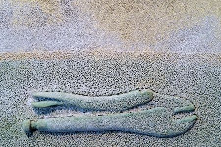 Vice-grips Fossil (detail), 2014, wood, oil paint, polyurethane, pigment, marble dust, cast plastic.