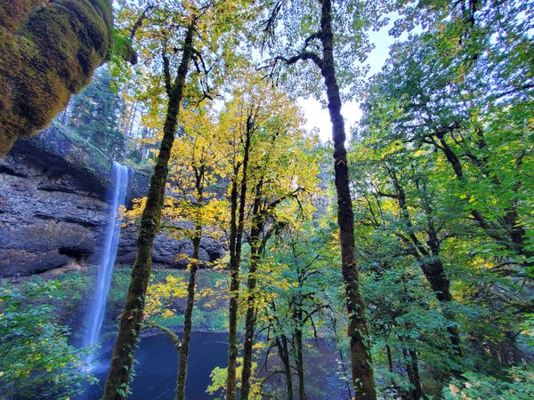 Silver Falls State Park thumbnail