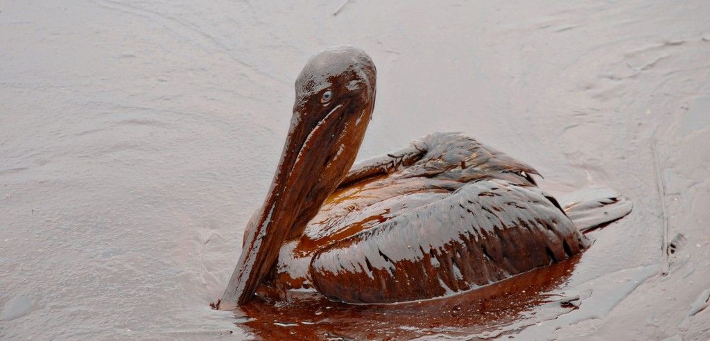 Oil spill 1