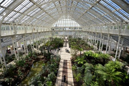 A view of the interior of the Temperate House during a press preview of its reopening at Kew Gardens.