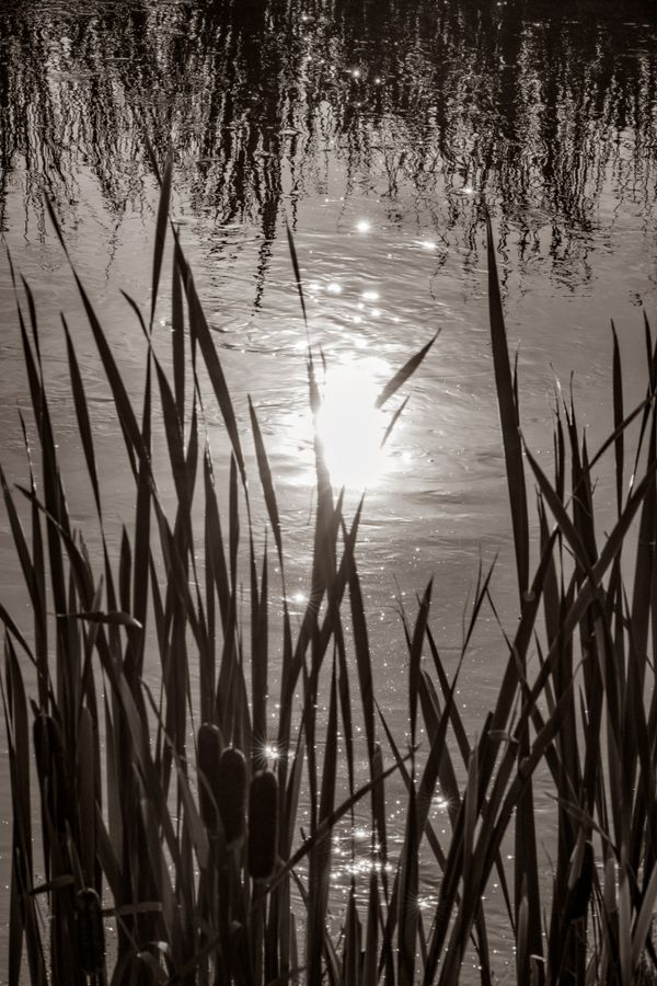 Possibilities thumbnail